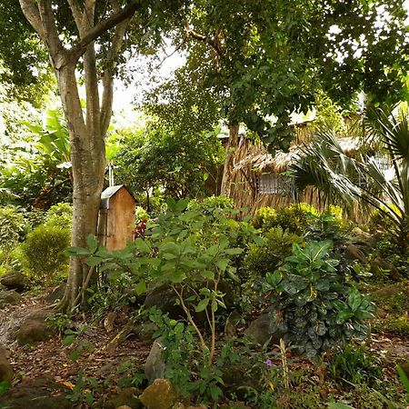 El Bamboo Cabins Balgue Bagian luar foto