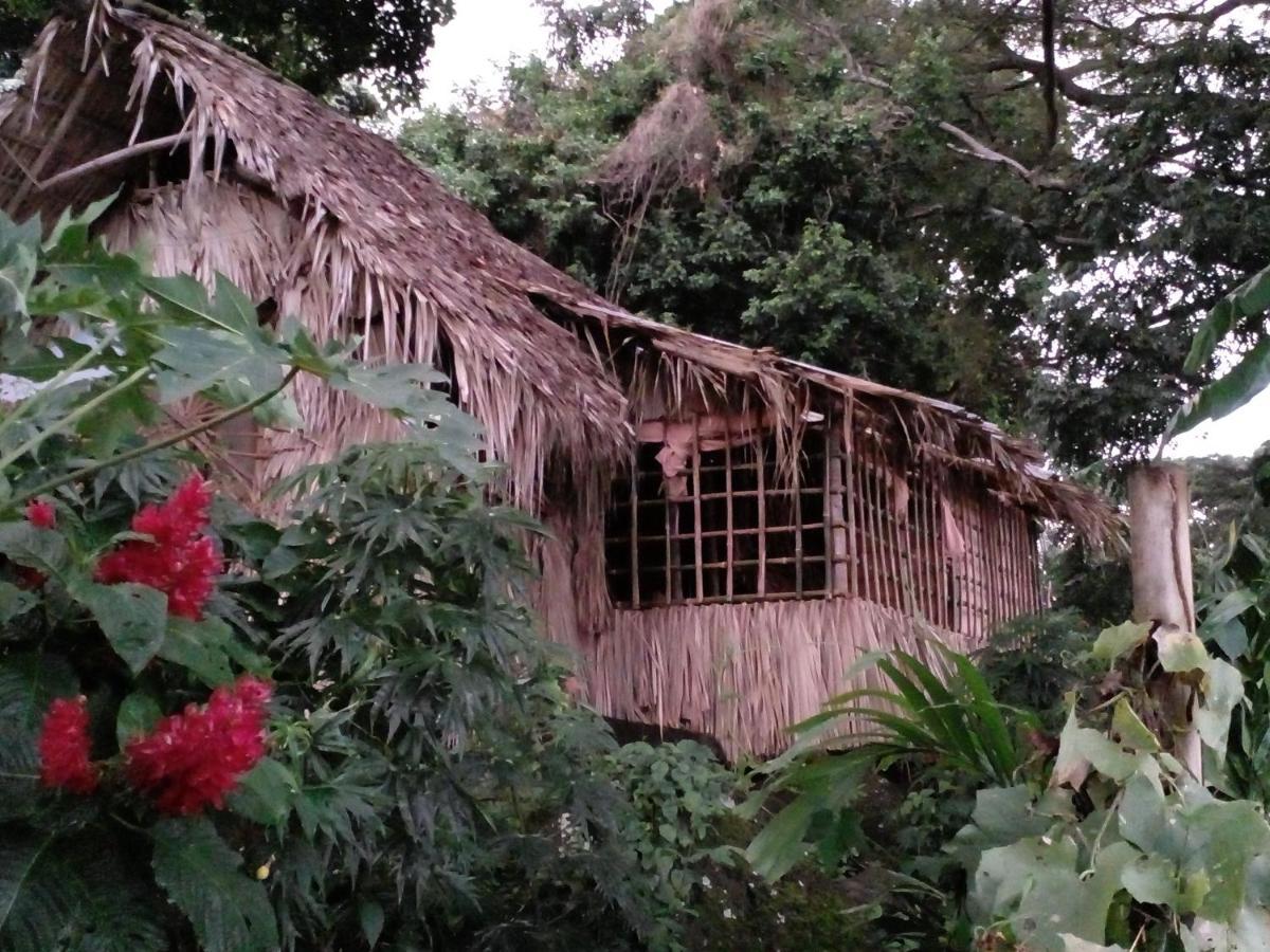 El Bamboo Cabins Balgue Bagian luar foto