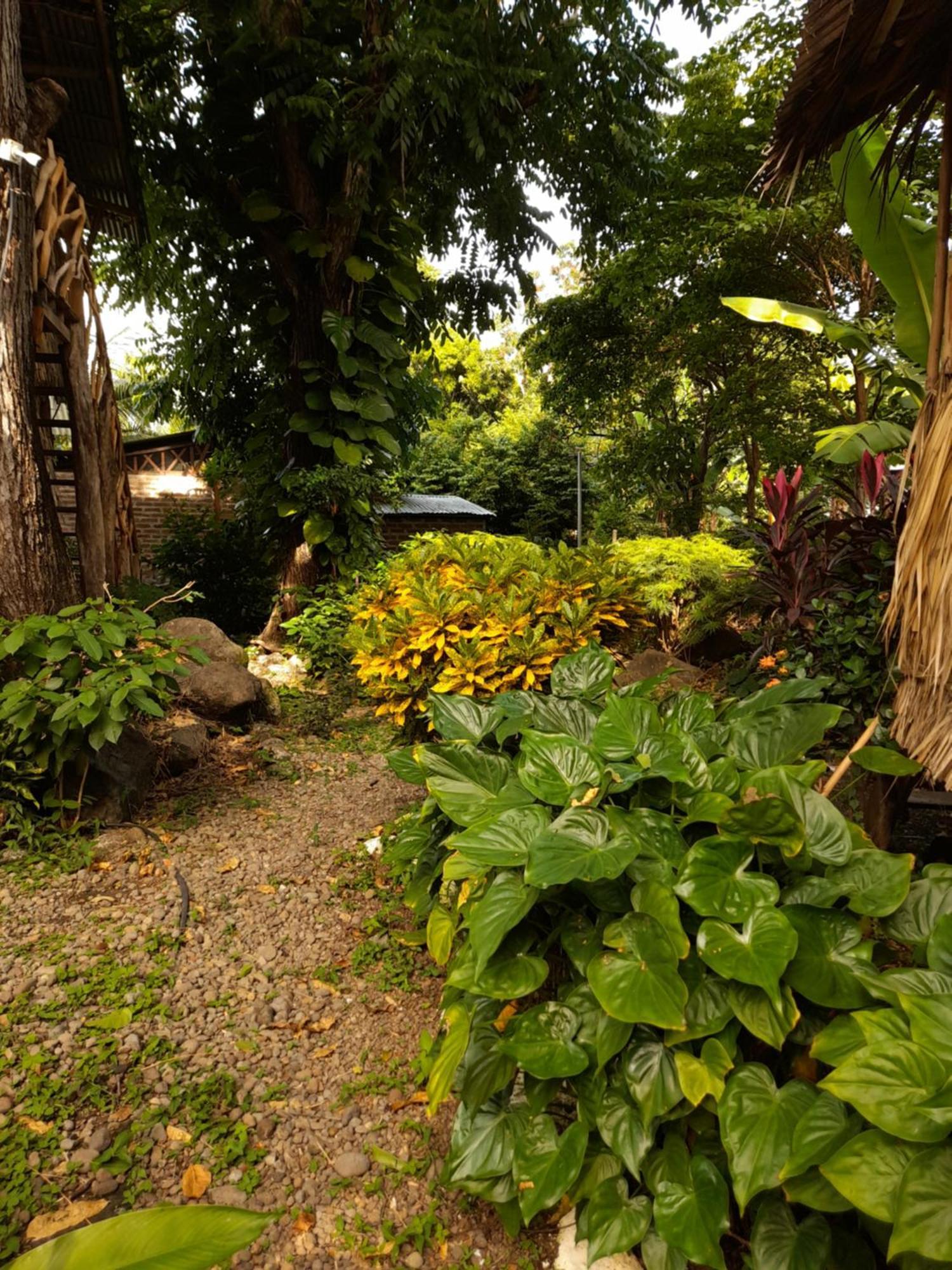 El Bamboo Cabins Balgue Bagian luar foto