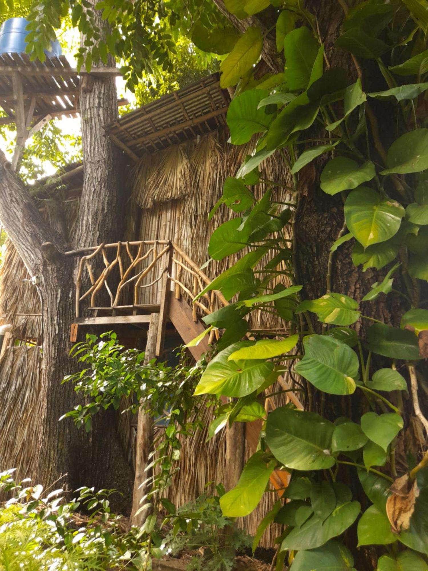 El Bamboo Cabins Balgue Bagian luar foto