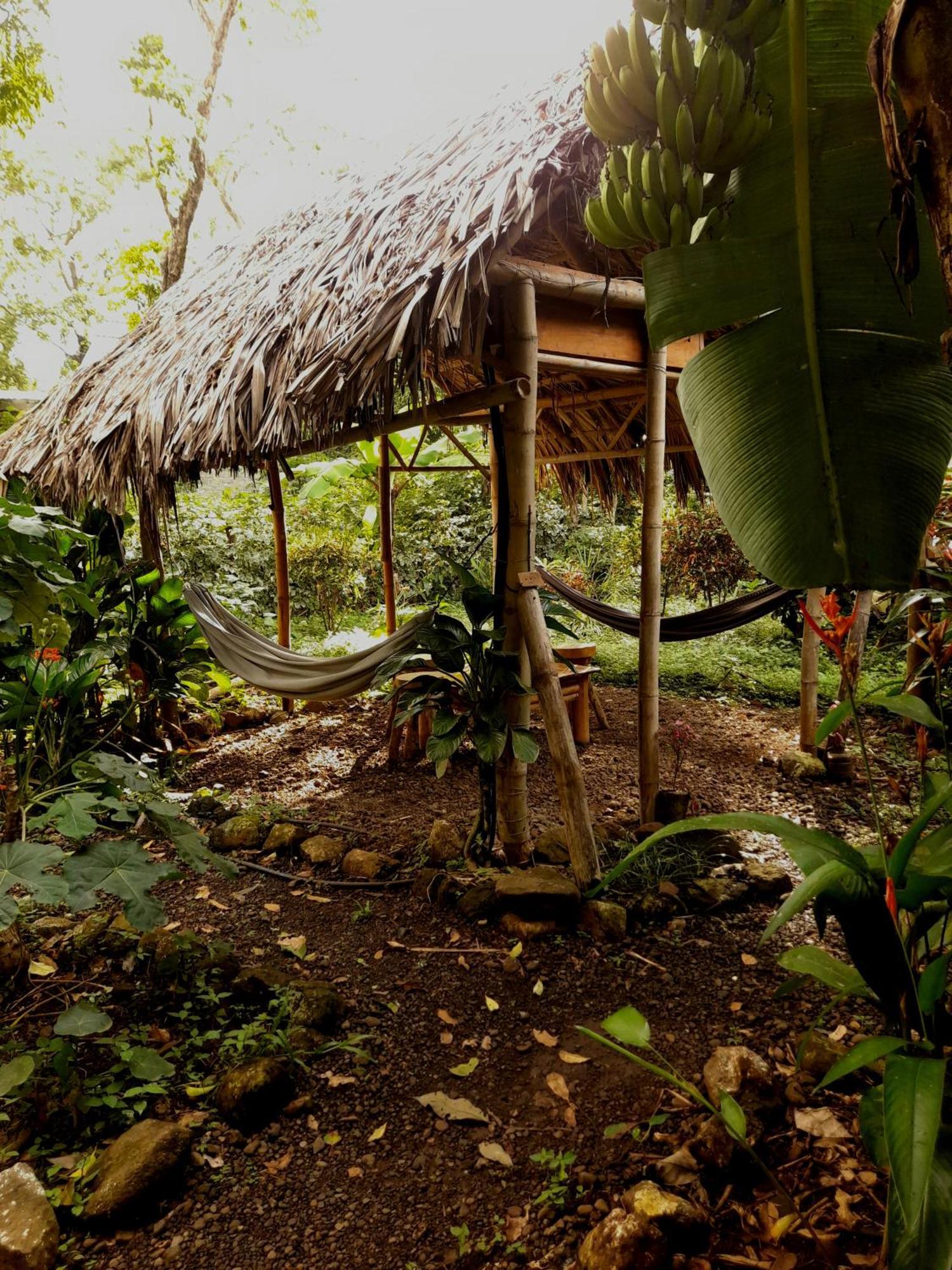 El Bamboo Cabins Balgue Bagian luar foto