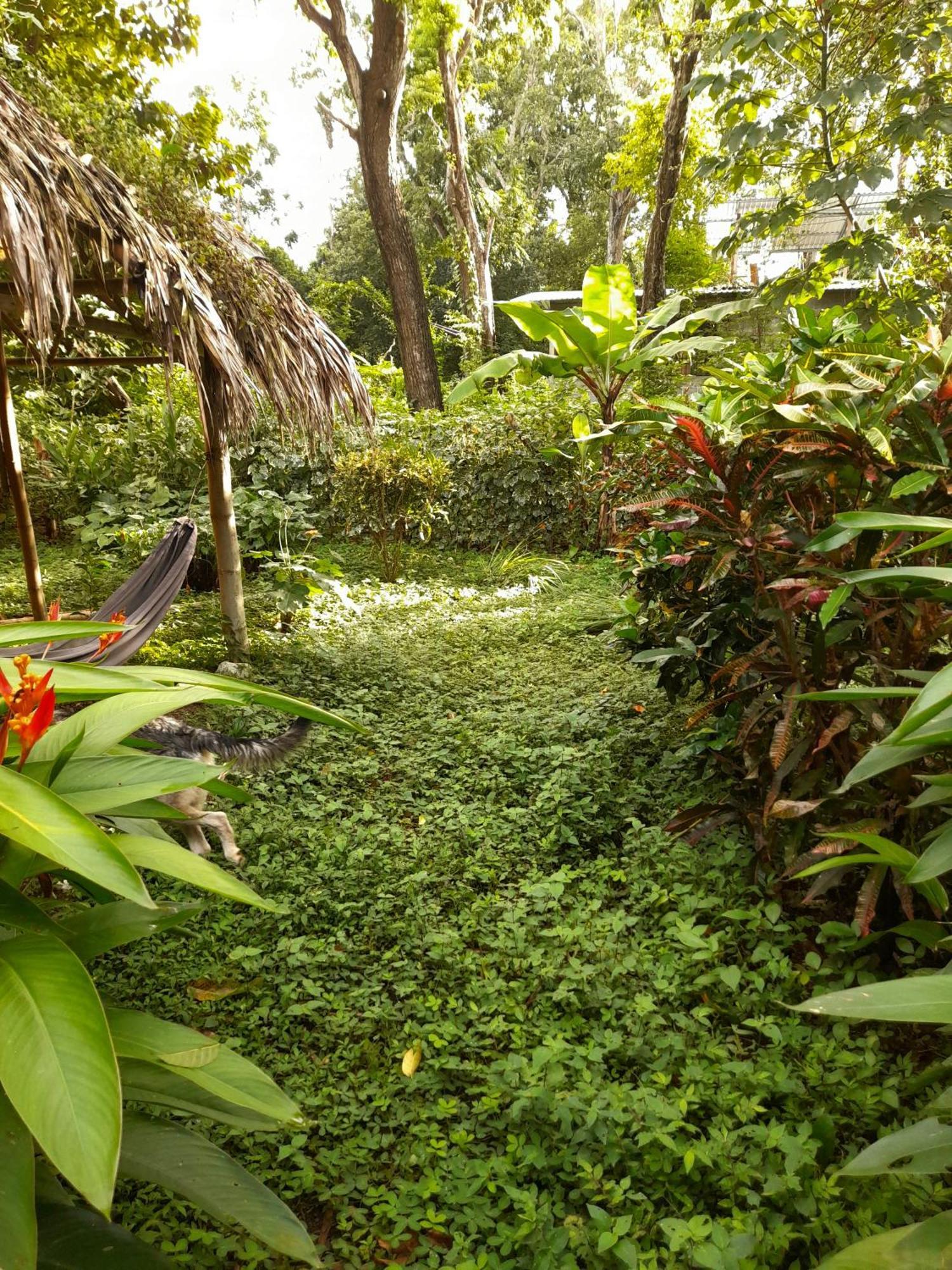El Bamboo Cabins Balgue Bagian luar foto