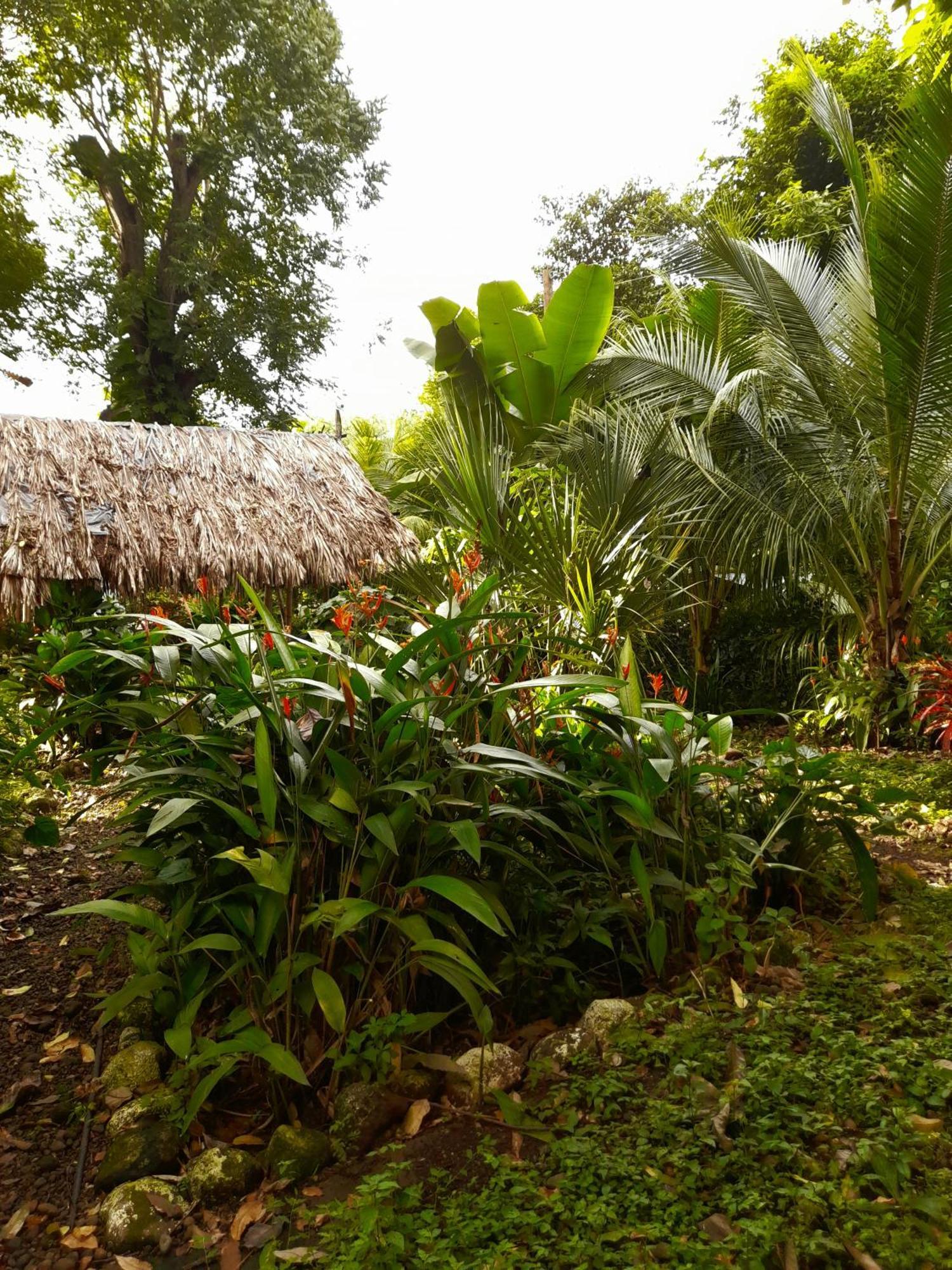 El Bamboo Cabins Balgue Bagian luar foto