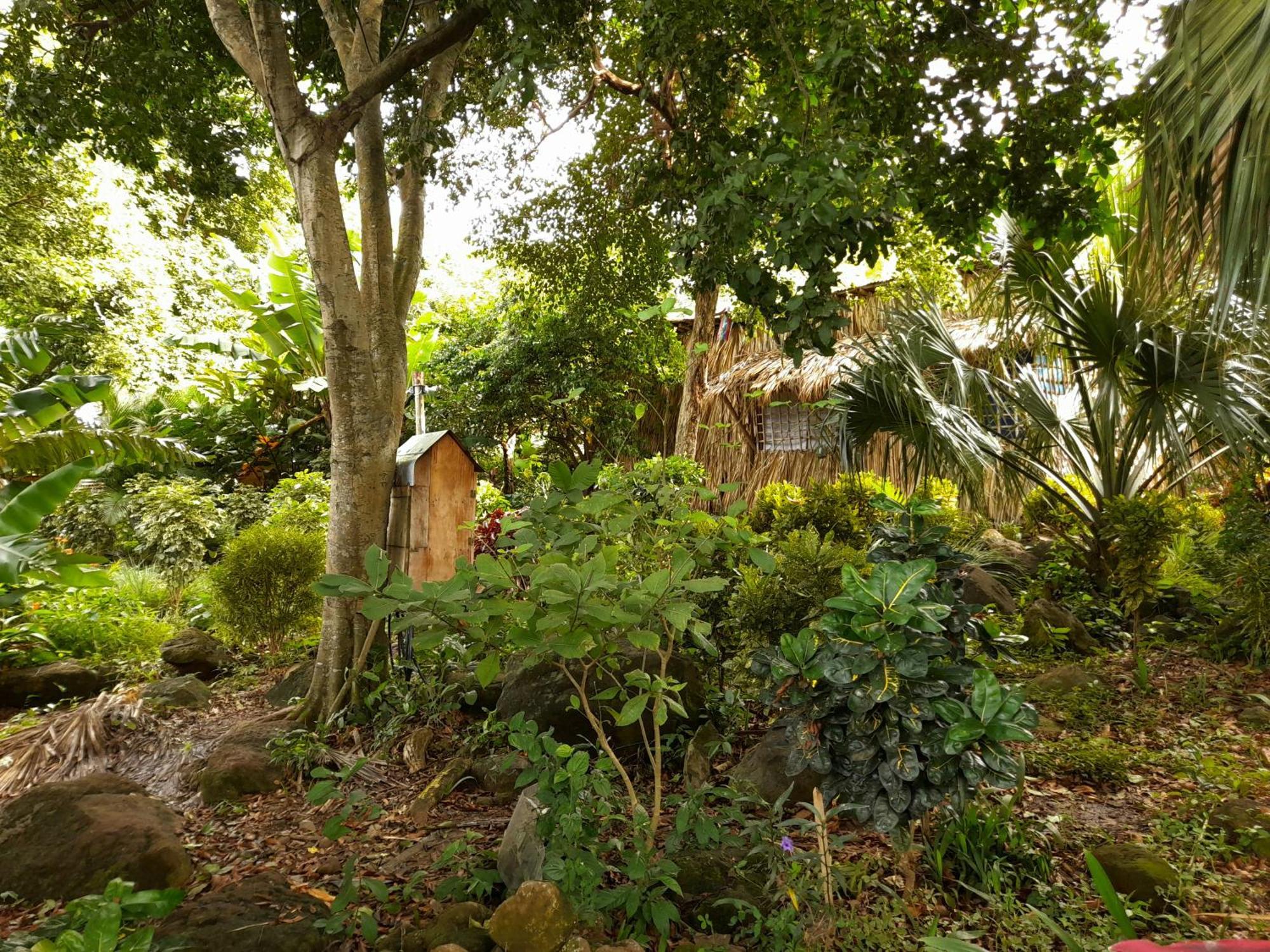 El Bamboo Cabins Balgue Bagian luar foto
